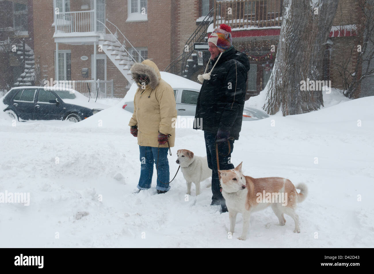 Menschen in einem Schneesturm Spaziergang mit seinem Hund Montreal Stockfoto
