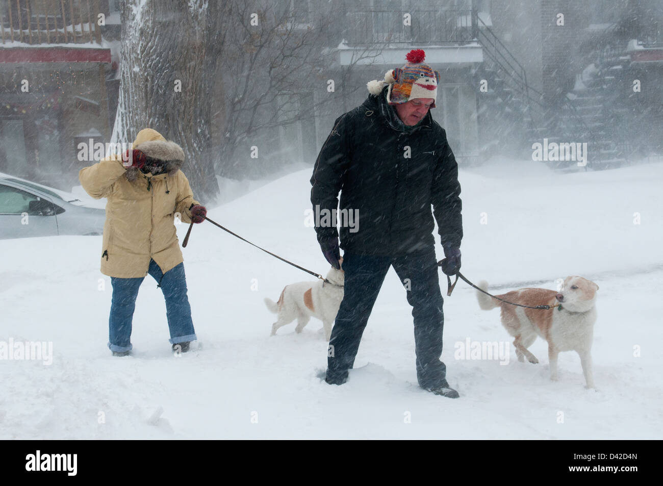 Leute, die ihre Hunde bei einem schneesturm Montreal Stockfoto
