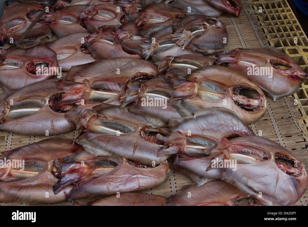 Getrocknete Strahlen auf Jagalchi Fischmarkt, Busan, Südkorea Stockfoto