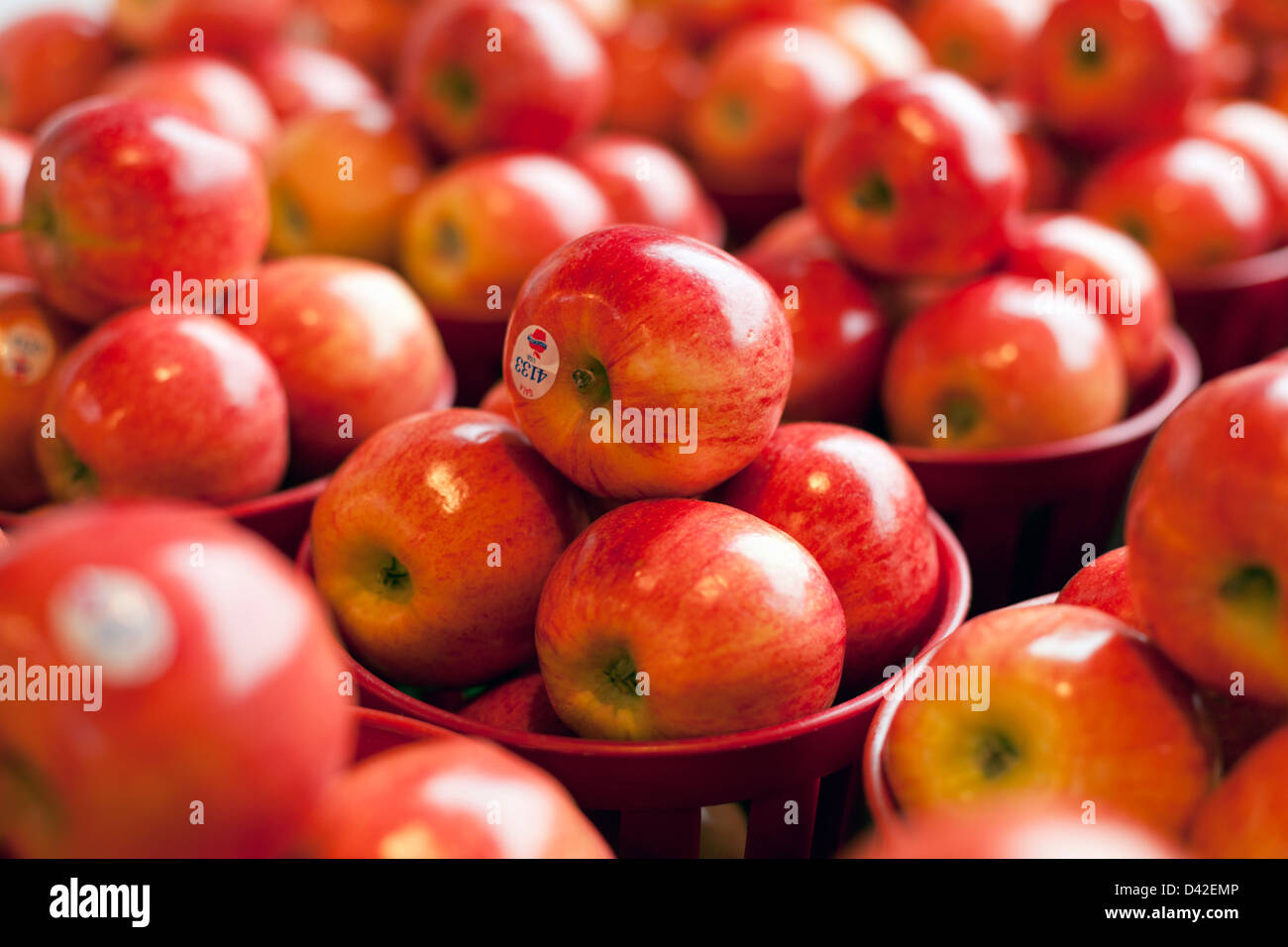 Äpfel auf dem Display auf einen Bauernmarkt Stockfoto