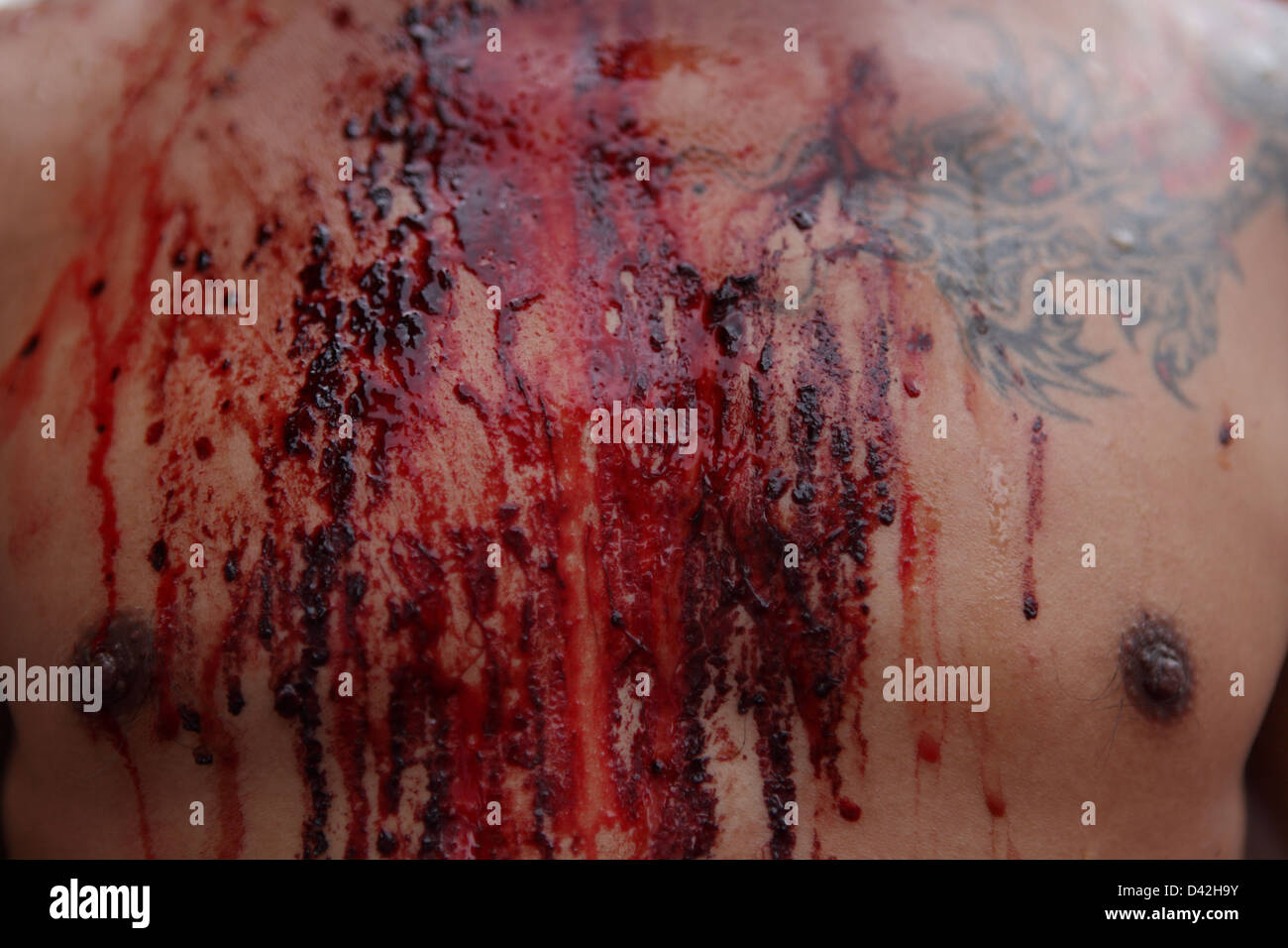 Blut fließt auf der Brust eines ergebenen während Phuket Vegetarian Festival. Stockfoto