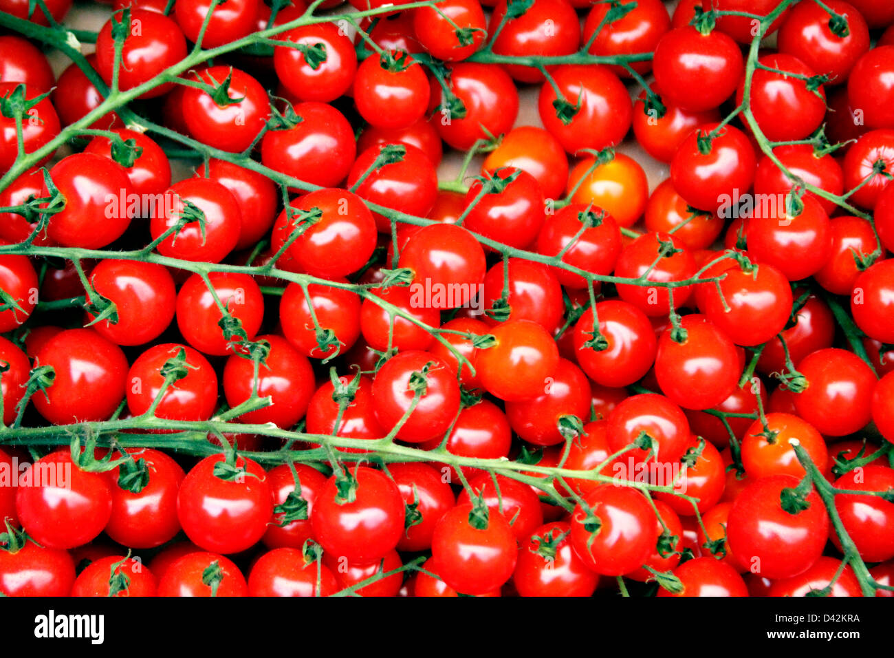 Mini tomaten -Fotos und -Bildmaterial in hoher Auflösung – Alamy