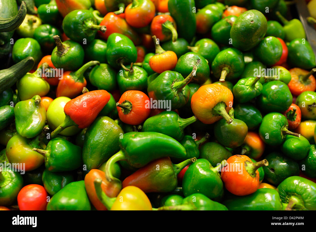 Budapest, Ungarn, ungarische paprika Stockfotografie Alamy