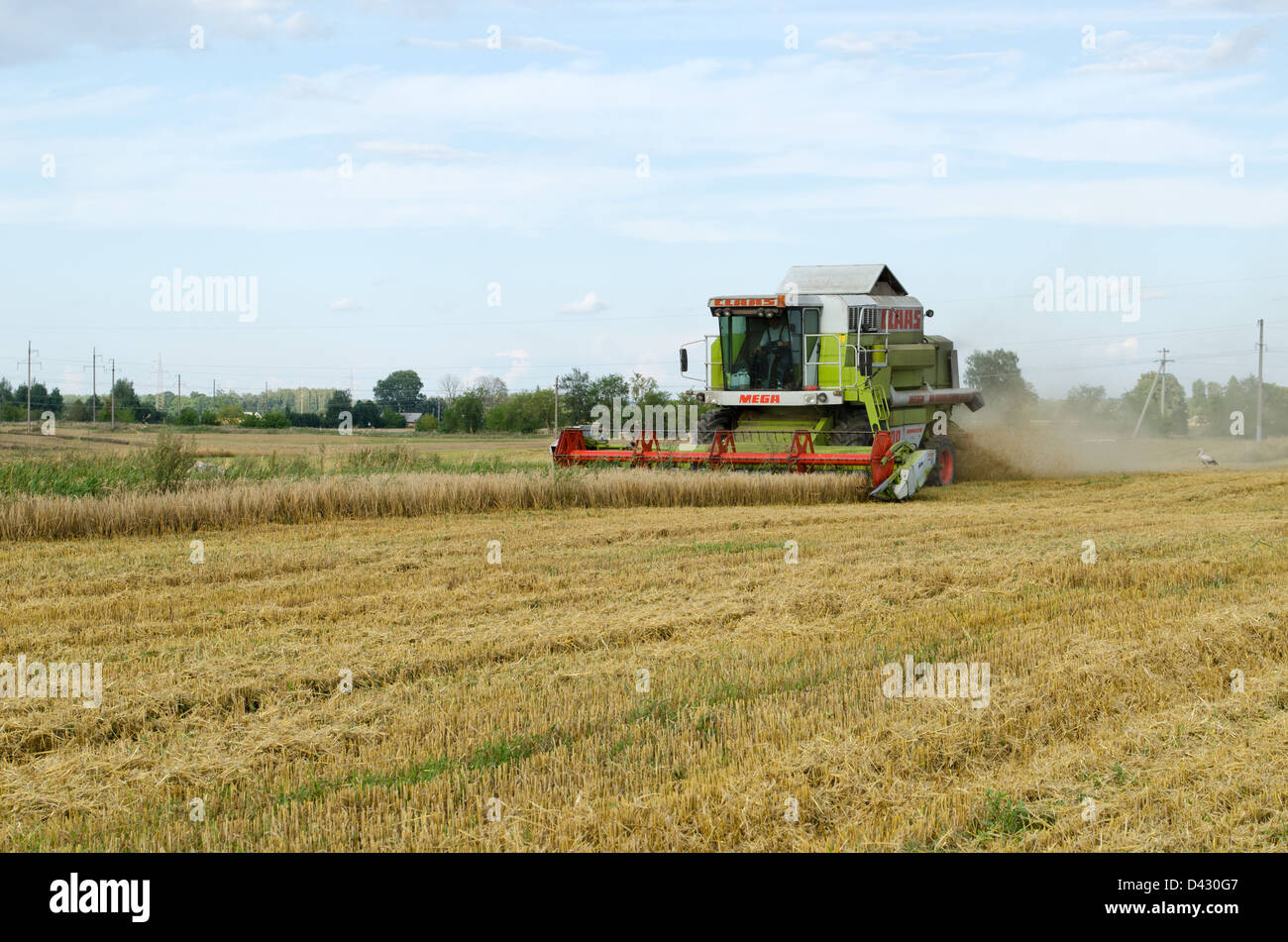 Kombinieren Sie Traktor Landwirtschaft Ernte Weizenfeld Stockfoto
