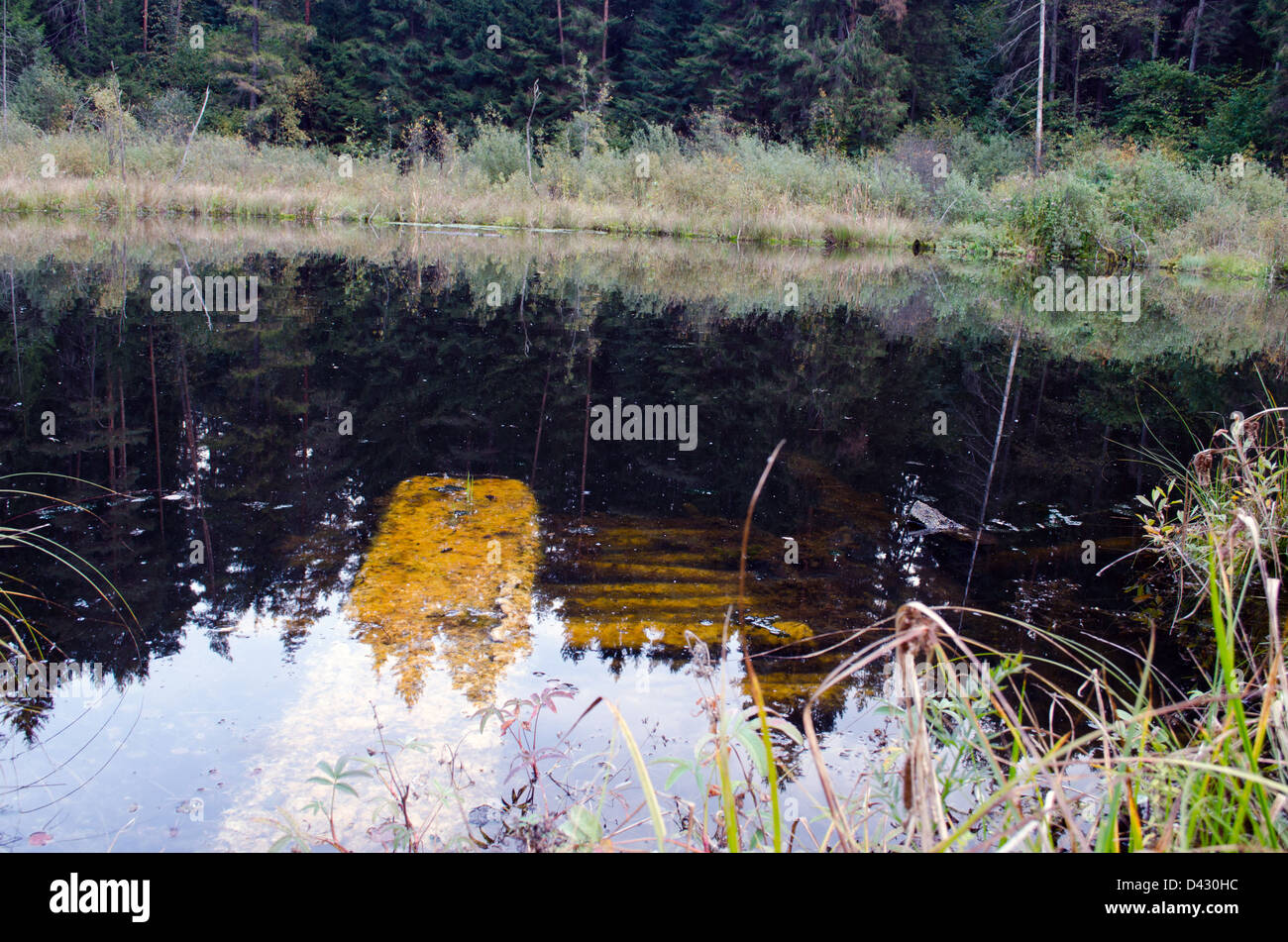 Unterwasser hölzerne Fäule gebrochene Brücke in kleinen Wald See Teich. Stockfoto