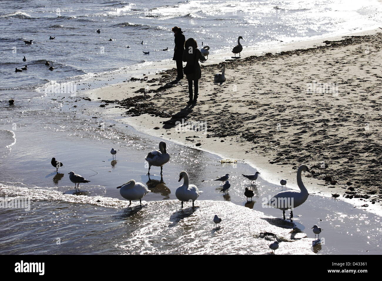 Sopot, Polen 3. März Sopot Bürgern und Touristen genießen die Sonne. Menschen wandern und auf Sopot Pier und baltischen Küste Stockfoto