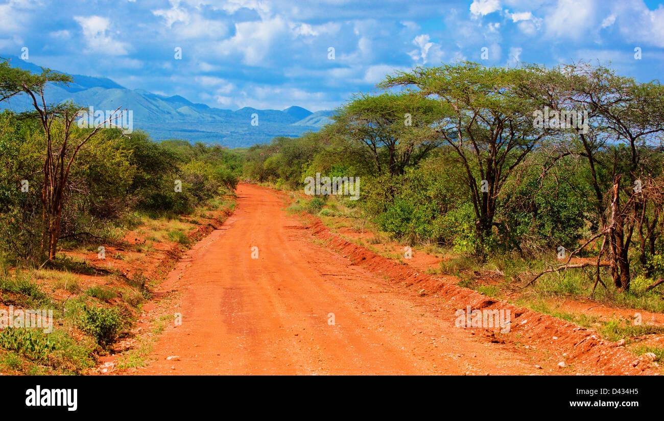 Rotem Grund Straßen- und Savanne Landschaft in Afrika. Tsavo West, Kenia. Stockfoto