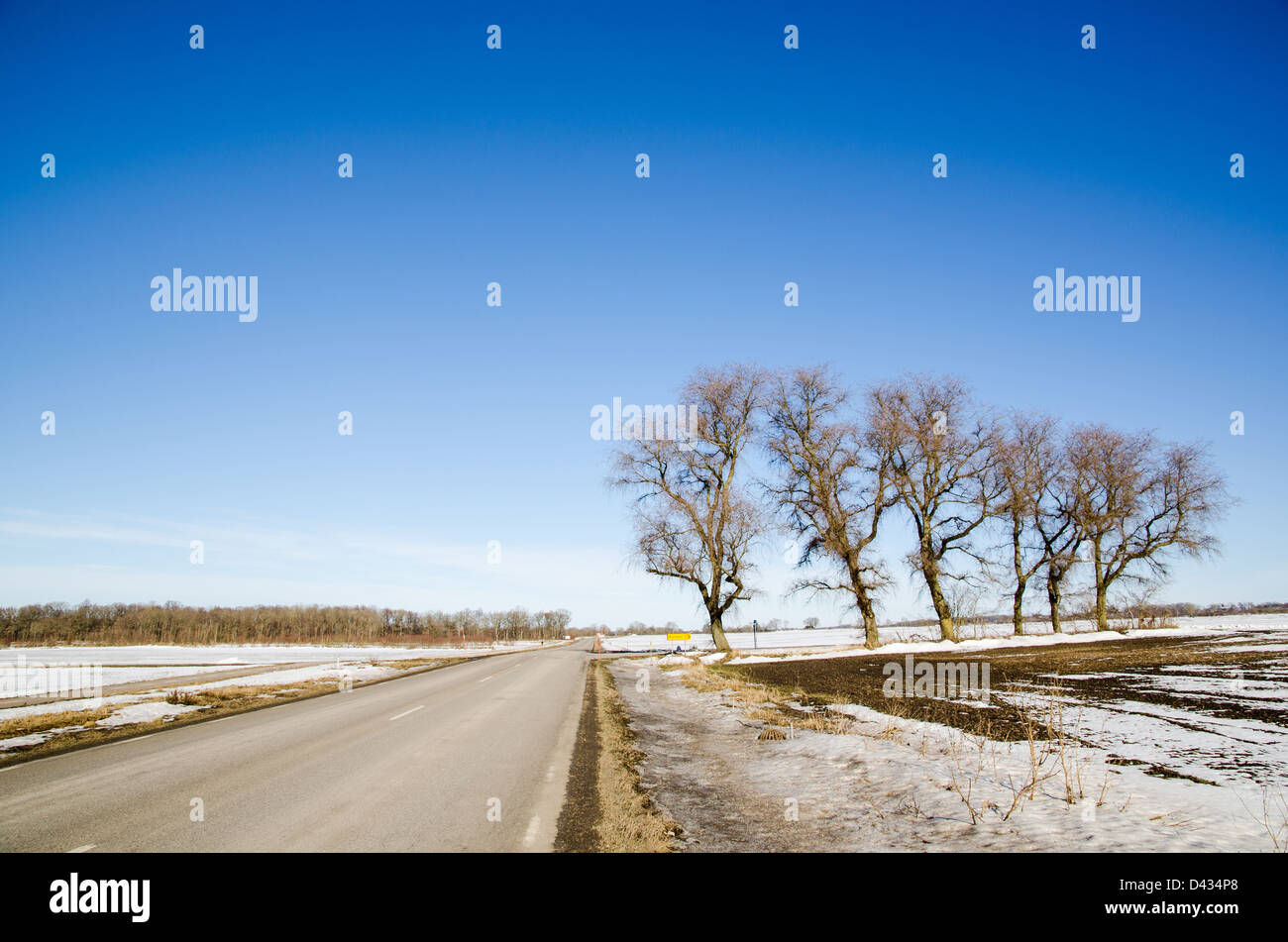 Empty road with a group of trees at road side in a springtime landscape Stockfoto