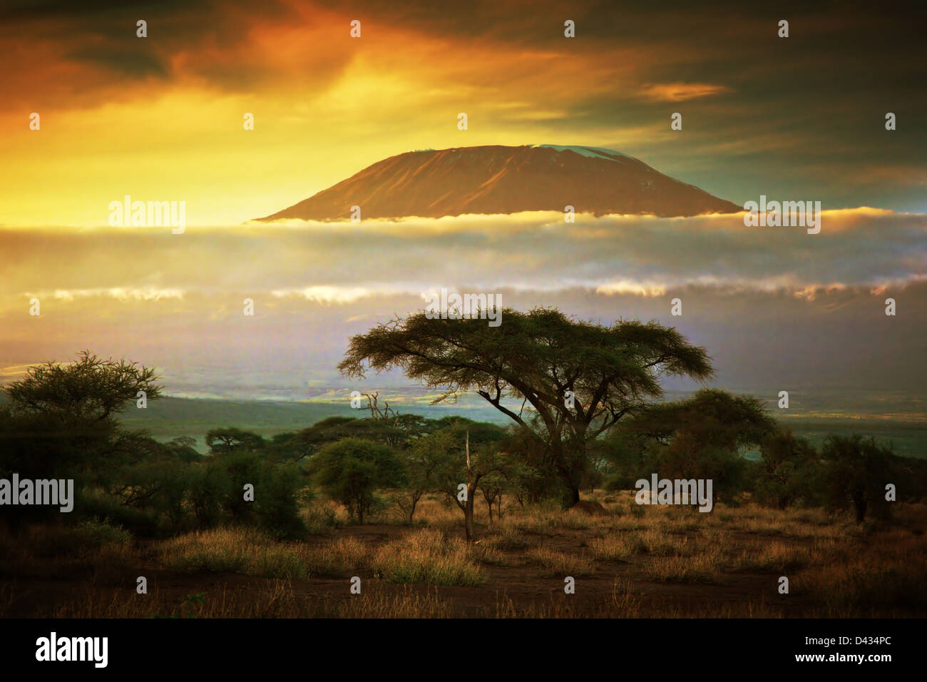 Kilimanjaro, Amboseli, Kenia, Afrika Stockfoto