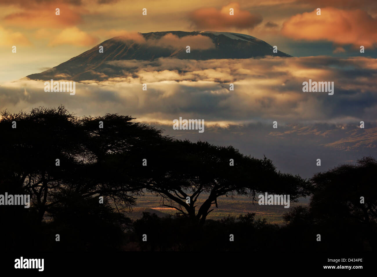 Afrika-Landschaft - Mount Kilimanjaro und Wolken Zeile bei Sonnenuntergang, Blick vom Savannenlandschaft in Amboseli, Kenia, Afrika Stockfoto