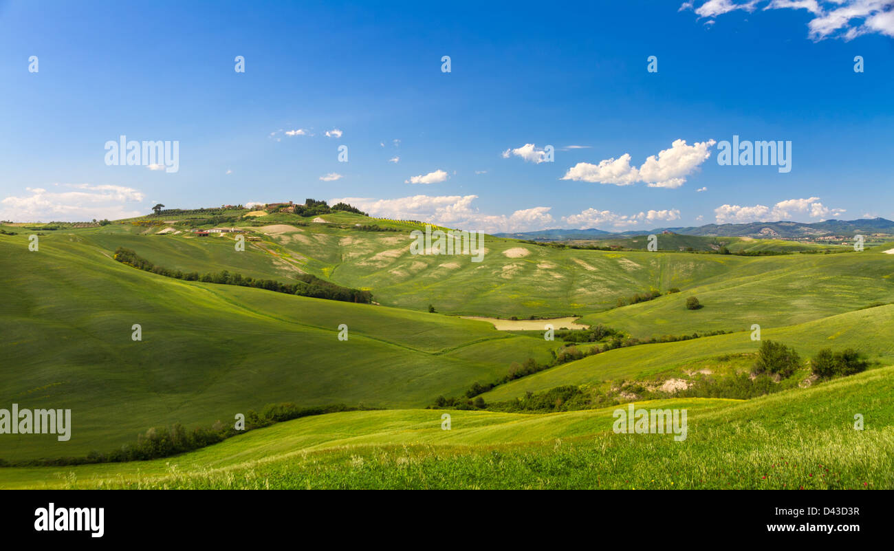 Hügelige Landschaft mit blauem Himmel in Crete Senesi, Asciano, Siena, Italien Stockfoto