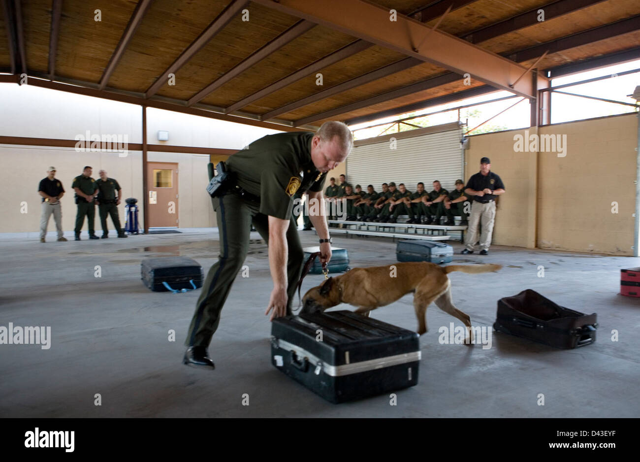 Ein Foto, das die Agenten der US-Grenzpolizei und die Einwanderungsinspektoren bei der Arbeit zeigt und die Rolle des US-Zoll- und Grenzschutzes (CBP) bei der Sicherung der US-Grenzen und der Durchsetzung der Einwanderungsgesetze feststellt. Stockfoto
