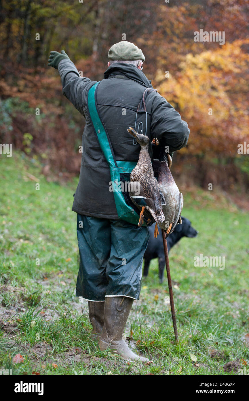 Wildhüter mit Vögel Platzverweis Hund abrufen Stockfoto