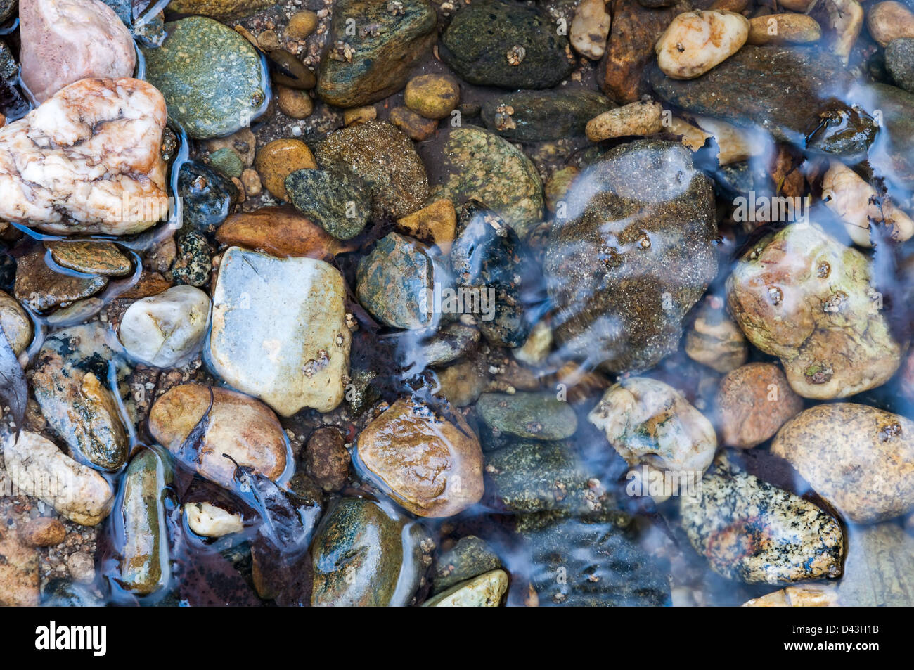 Steinen im Flussbett Stockfoto