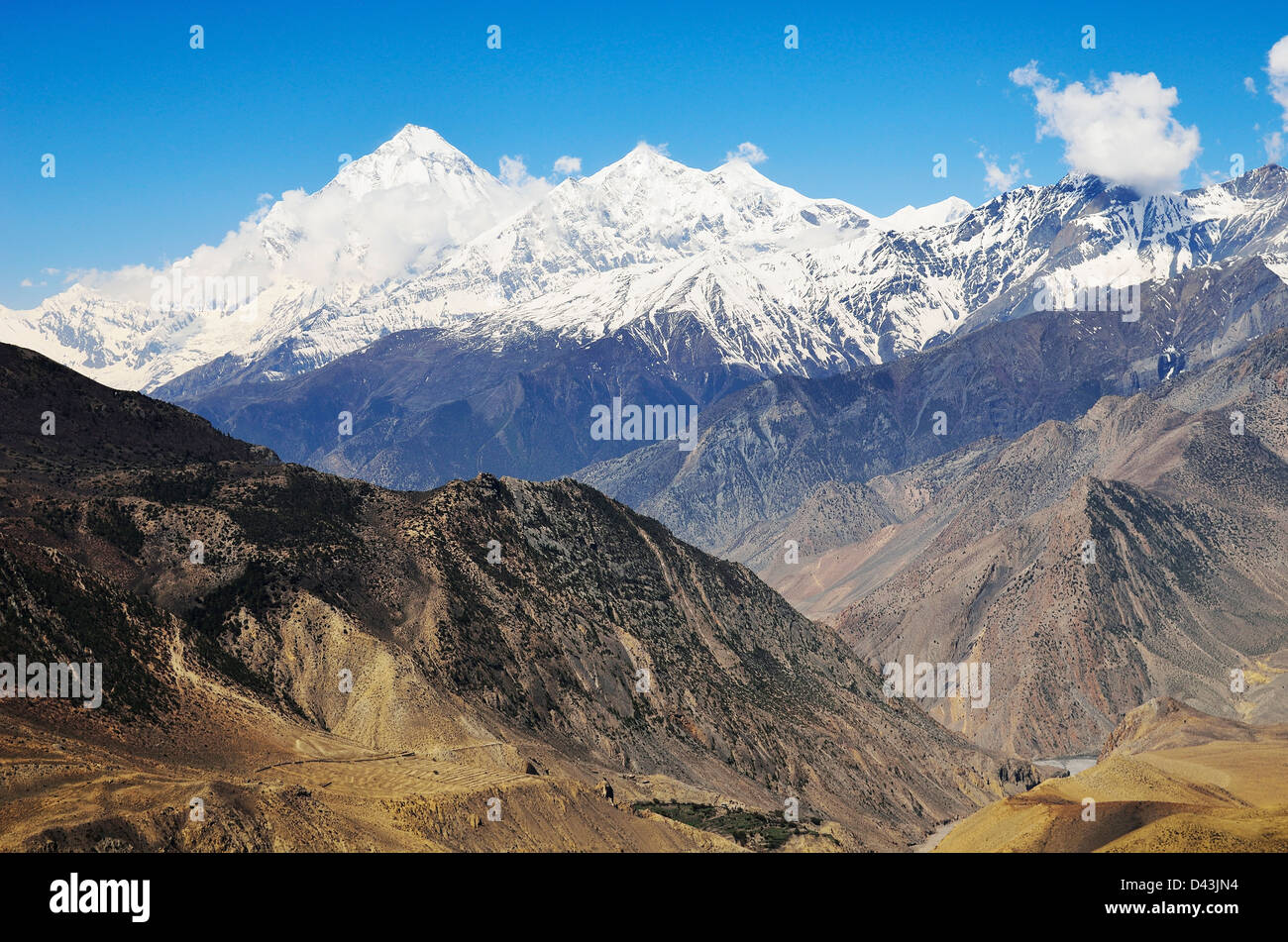 Muktinath Tal und Muktinath Himal, Annapurna Conservation Area, Mustang District, Dhawalagiri, Pashchimanchal, Nepal Stockfoto