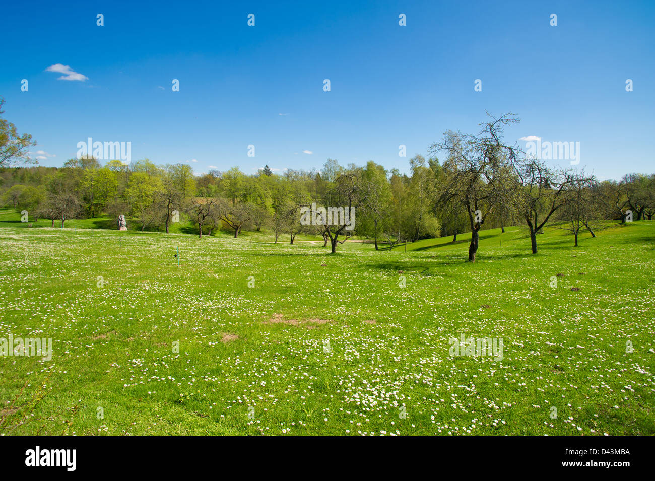 Schönen großen Garten neben dem Haus im Dorf Stockfoto