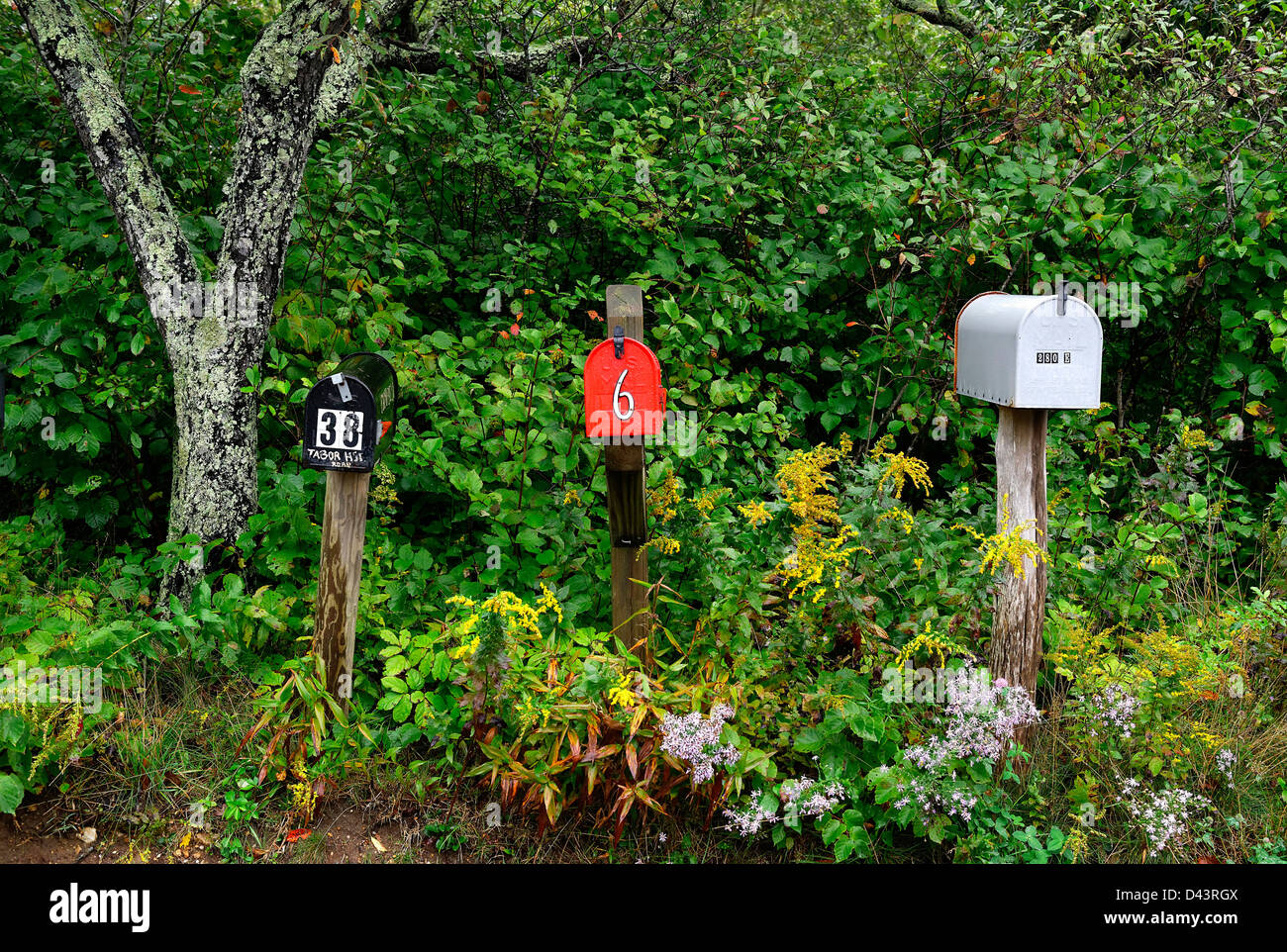 Ländliche Postfächer. Stockfoto