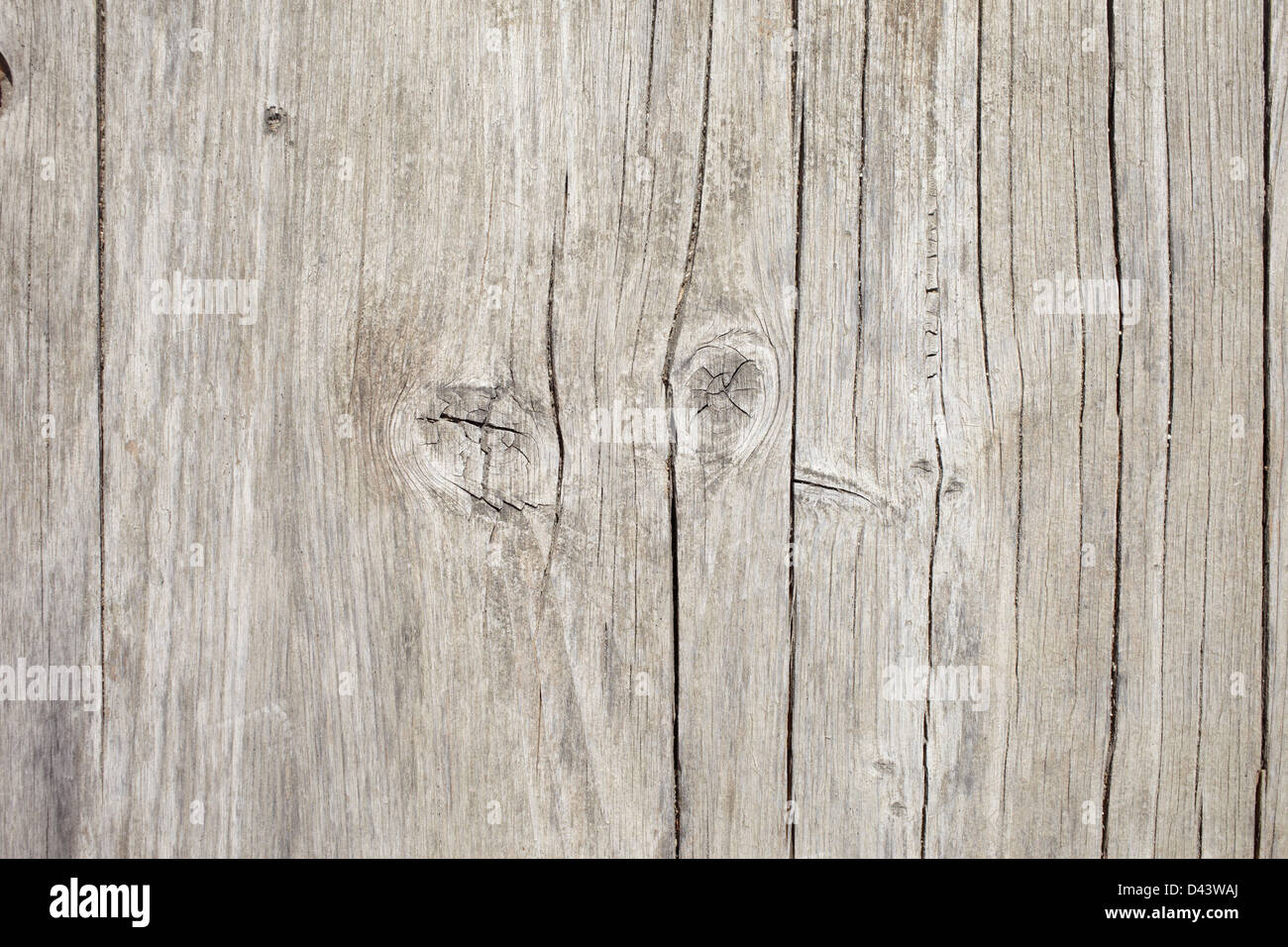 Detail der Holzwand, Arcachon, Gironde, Aquitanien, Frankreich Stockfoto