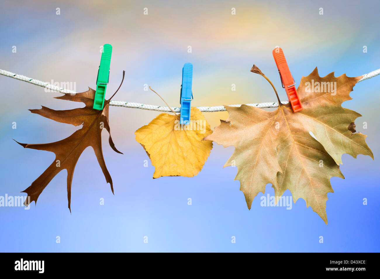 Herbstlaub auf einem Seil. Blau bewölktem Himmelshintergrund Stockfoto