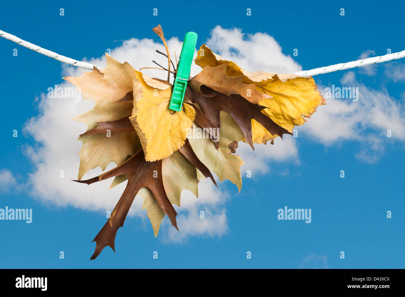 Herbstlaub auf einem Seil. Blau bewölktem Himmelshintergrund Stockfoto