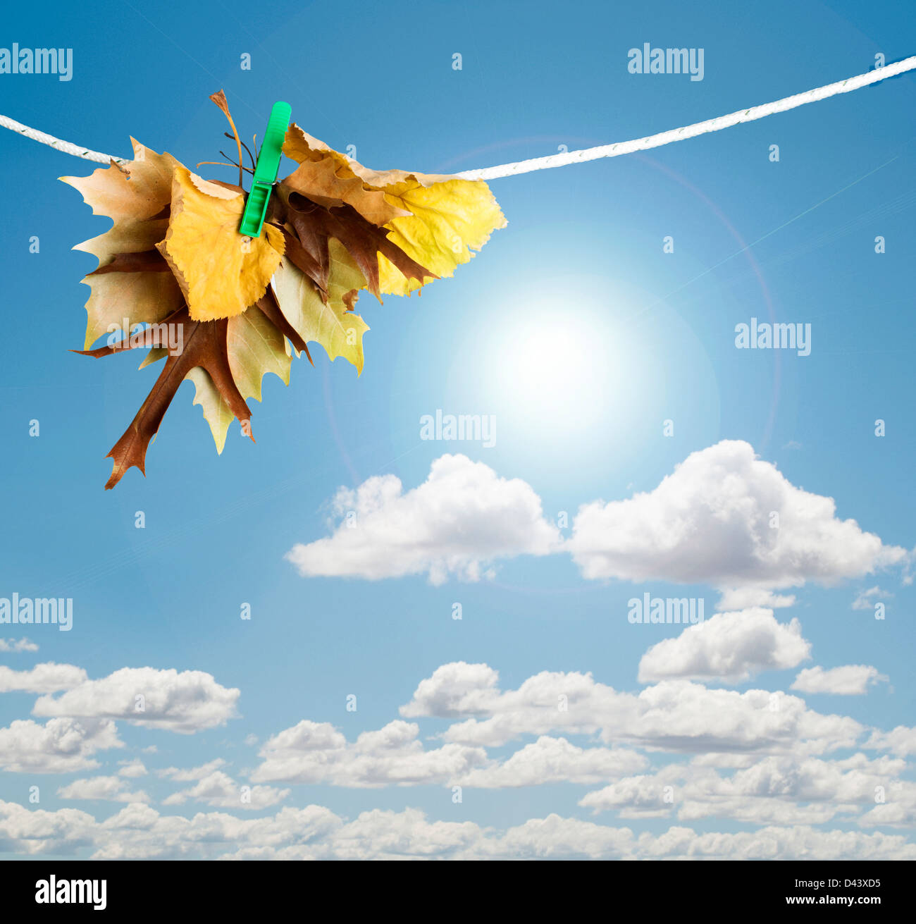 Herbstlaub auf einem Seil. Blau bewölktem Himmelshintergrund Stockfoto