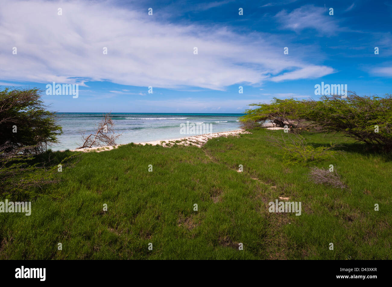 Malerische Küste, Arashi Beach, Aruba, kleine Antillen, Karibik Stockfoto