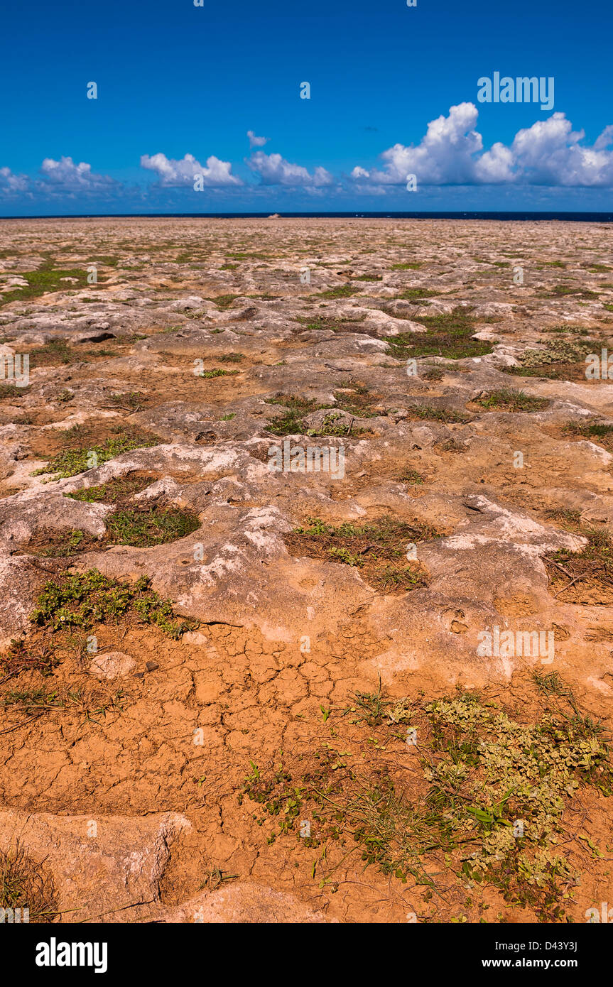 Trockene Landschaft, Arikok Nationalpark, Aruba, kleine Antillen, Karibik Stockfoto
