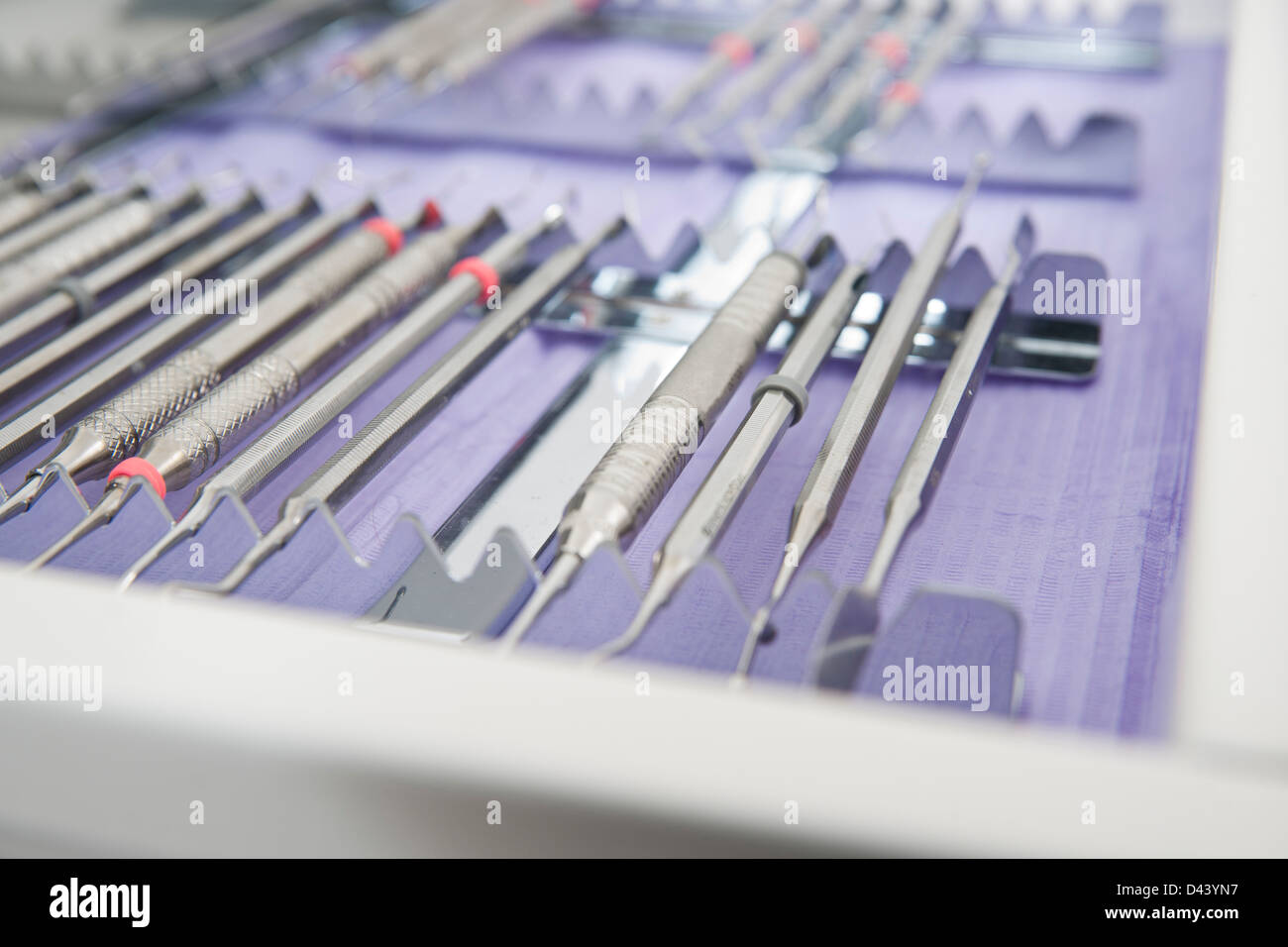 Nahaufnahme des Fachs zahnmedizinischer Instrumente in Dental Office, Deutschland Stockfoto