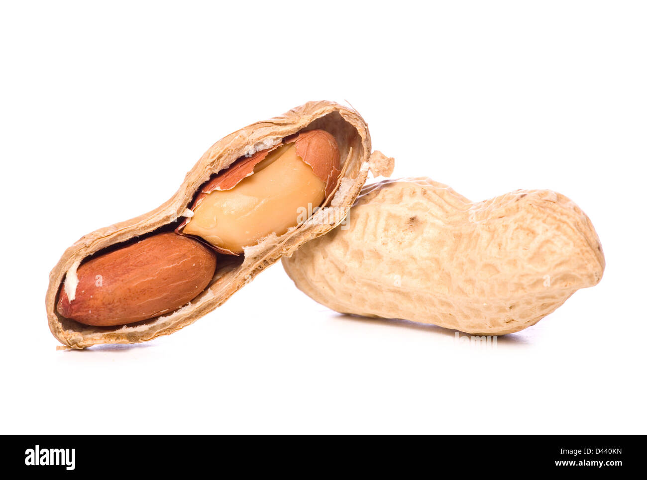 Monkey Nuts auf weißem Hintergrund Stockfoto