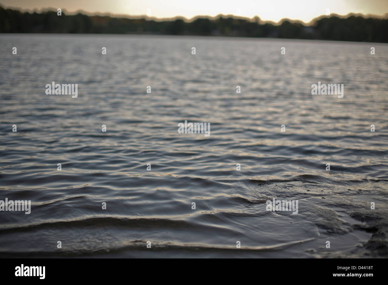 Selektiven Fokus auf See in der Abenddämmerung, Muskoka, Ontario, Kanada Stockfoto