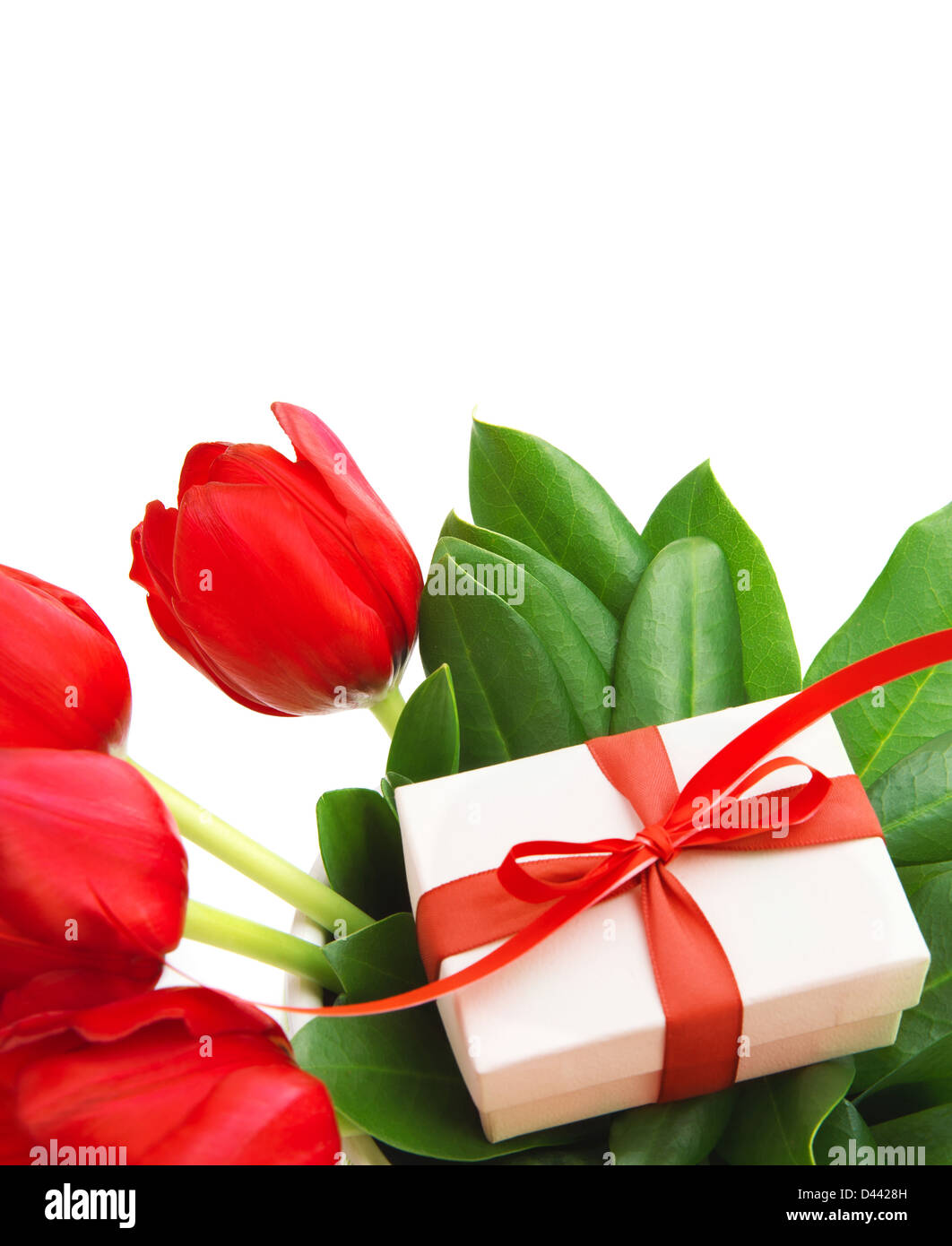 Foto von roten Tulpen Blumen und kleinen weißen Geschenkbox auf frischen grünen Blätter, romantische Stillleben für glückliche Mütter Tag isoliert Stockfoto