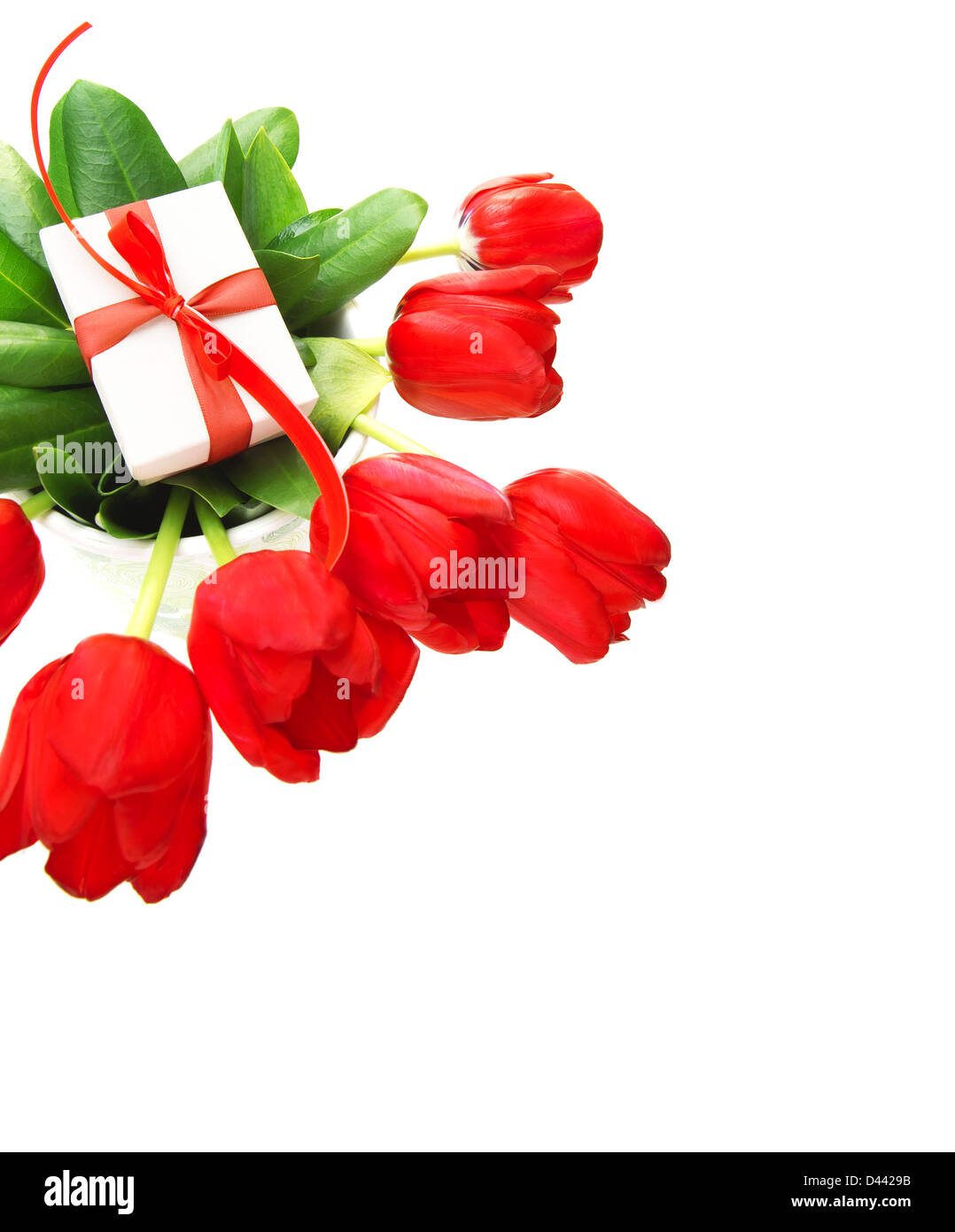 Bild von roten Tulpen Blumen und kleinen weißen Geschenkbox auf frischen grünen Blätter, romantische Stillleben für glückliche Mütter Tag isoliert Stockfoto