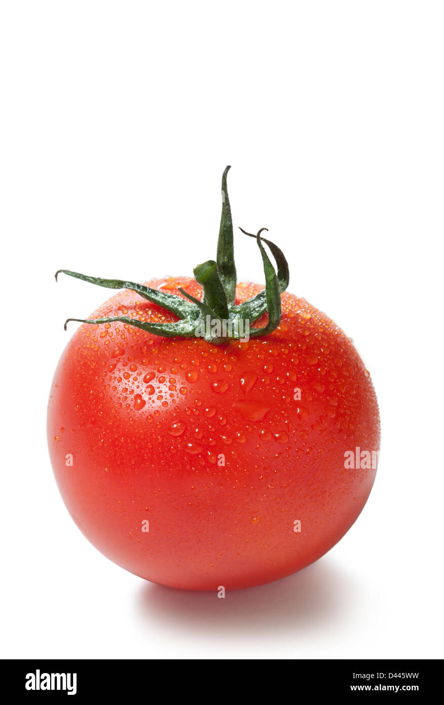 Tomate mit Tau auf einem weißen Hintergrund ausschneiden Stockfoto
