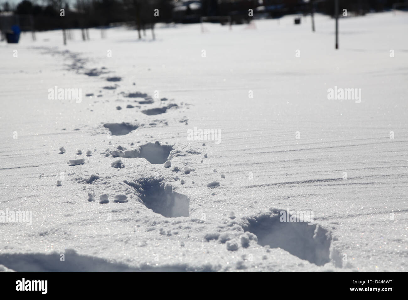 Fußspuren Schnee Stockfoto