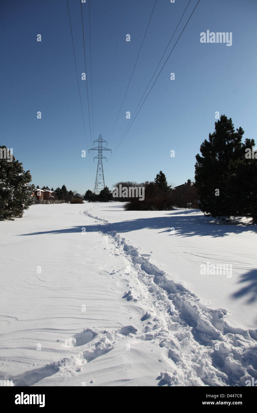 Winter Schnee blauen Morgenhimmel Stockfoto