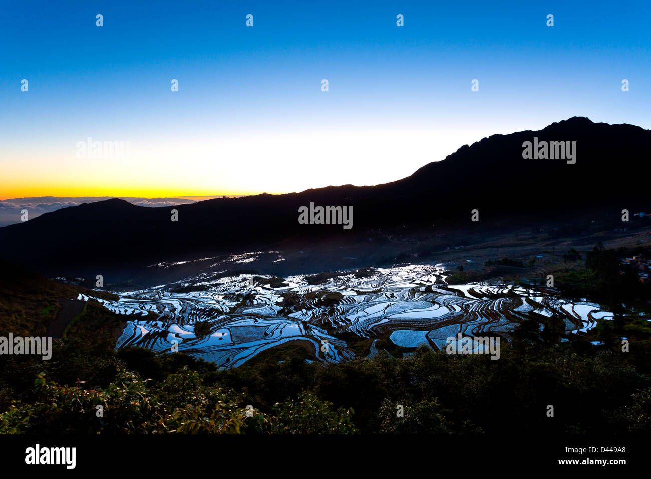Sonnenaufgang am Terrasse Reisfelder in Yuanyang, Provinz Yunnan, China. Stockfoto