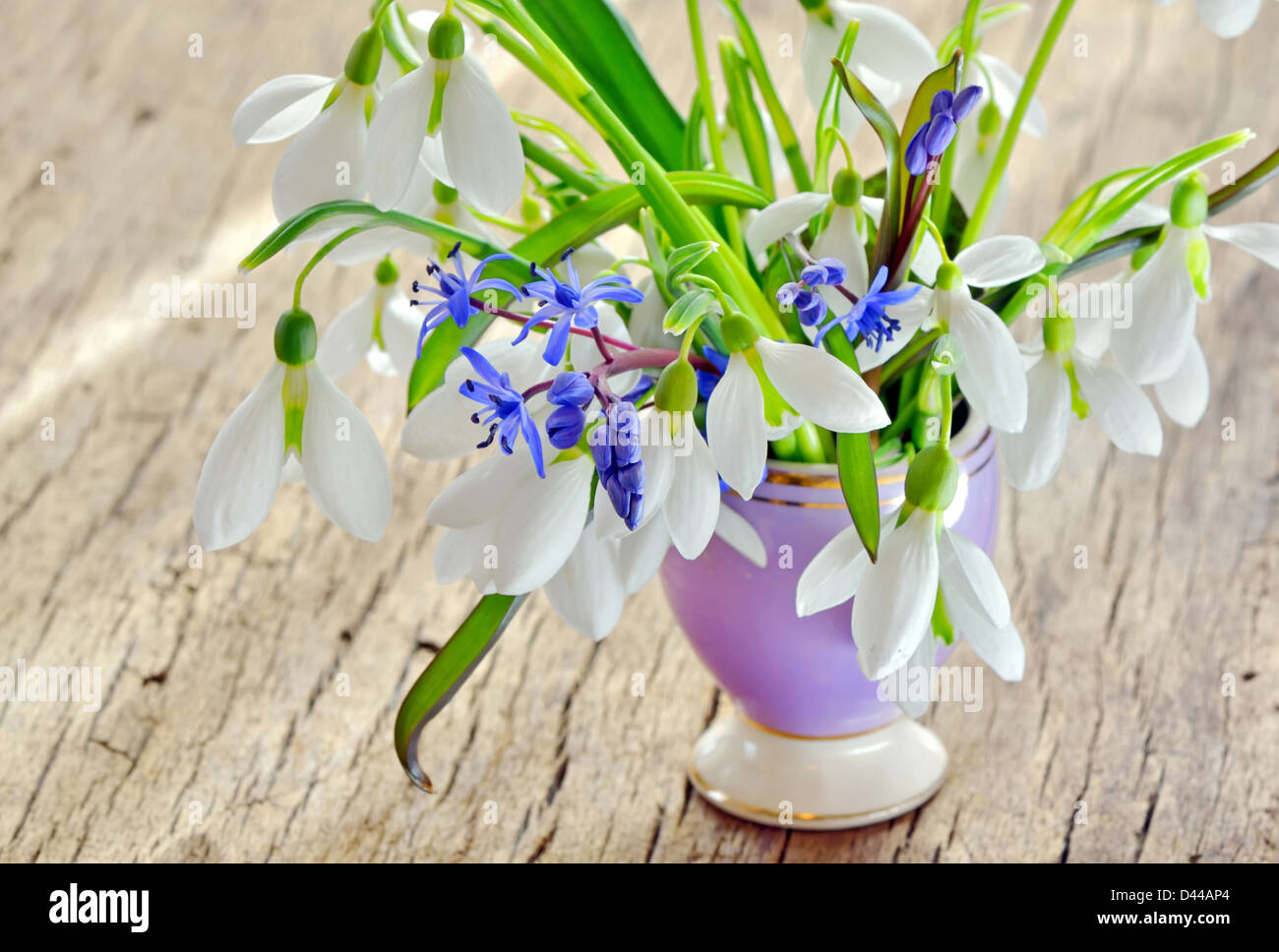 Schneeglöckchen schönen Blumenstrauß in einer Vase auf holzigen Hintergrund  Stockfotografie - Alamy
