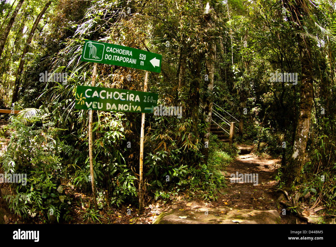 Zeigen Sie im Itatiaia-Nationalpark (Parque Nacional Do Itatiaia) in Brasilien an. Der erste Nationalpark in Brasilien. Stockfoto