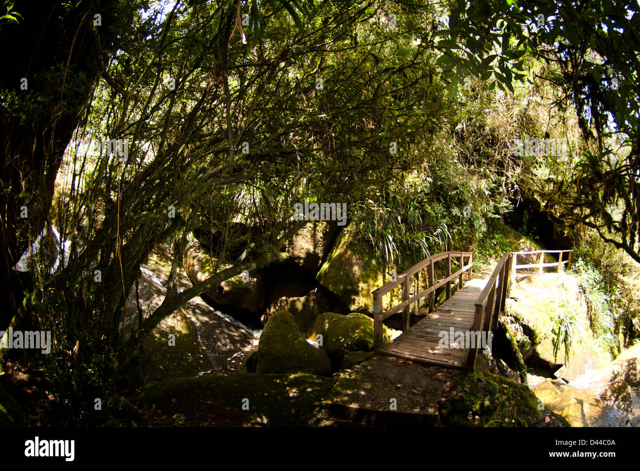 Zeigen Sie im Itatiaia-Nationalpark (Parque Nacional Do Itatiaia) in Brasilien an. Der erste Nationalpark in Brasilien. Stockfoto