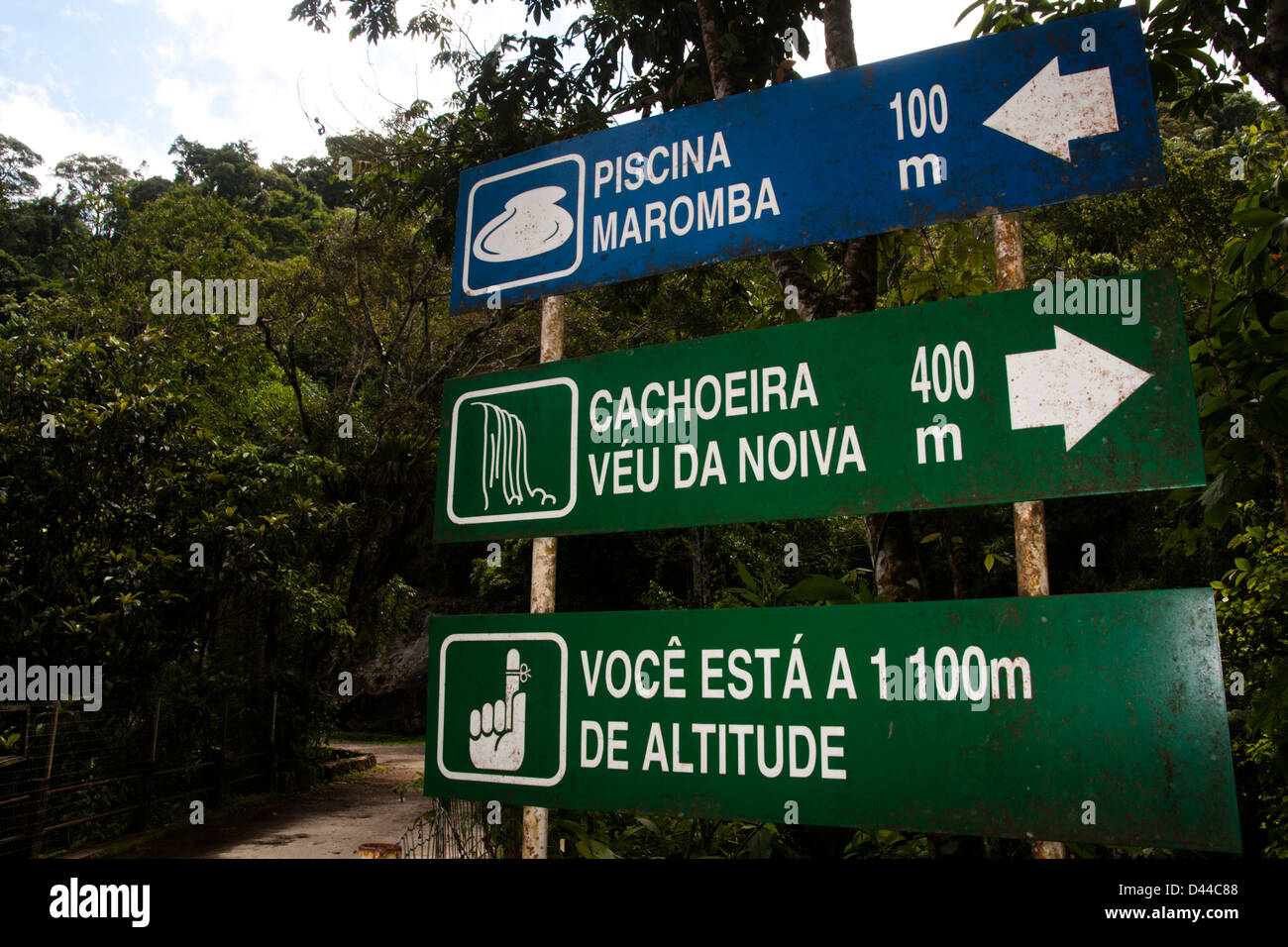 Zeigen Sie im Itatiaia-Nationalpark (Parque Nacional Do Itatiaia) in Brasilien an. Der erste Nationalpark in Brasilien. Stockfoto