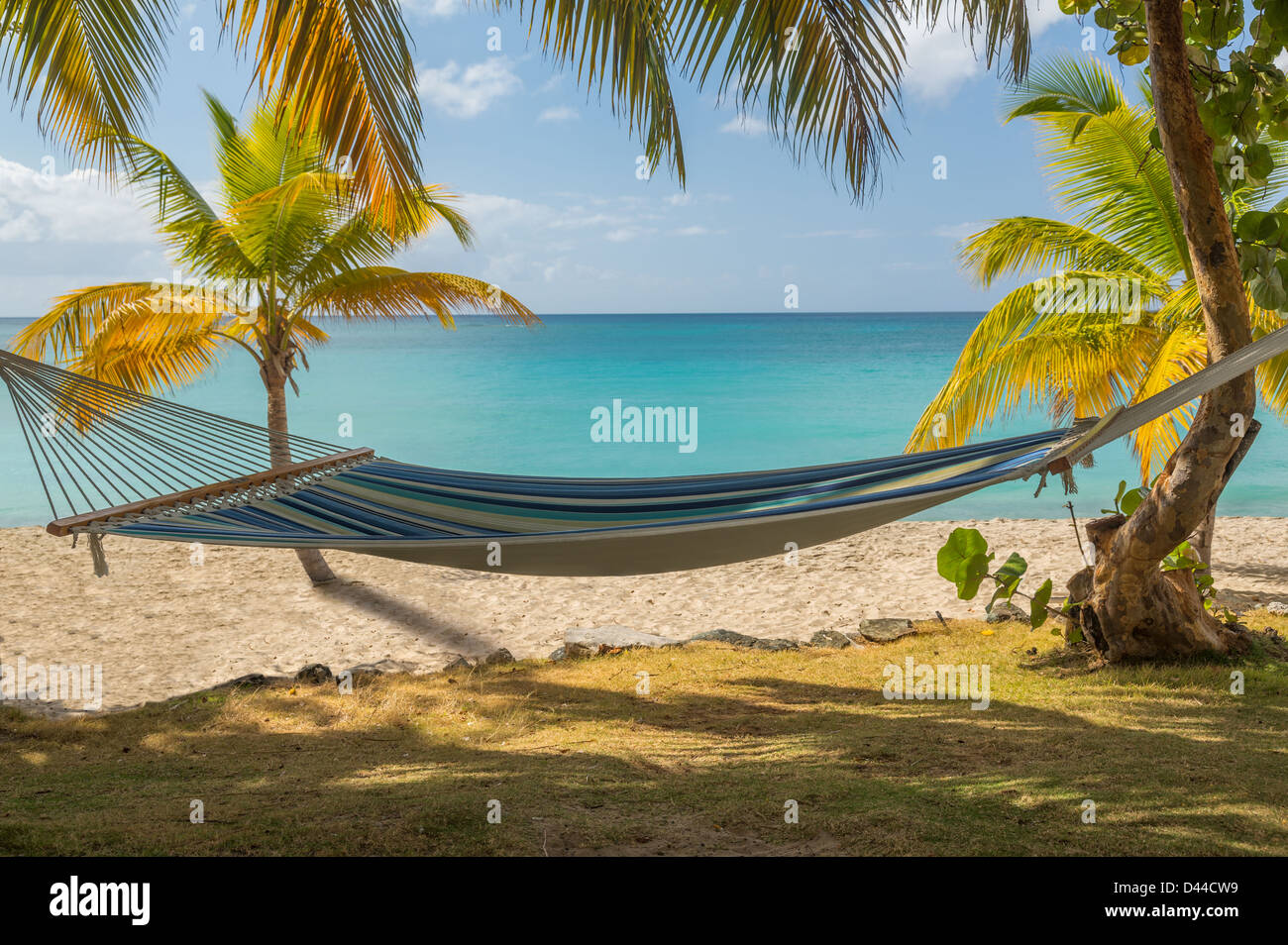 Hängematte an einem tropischen Strand, tropische Insel in der Karibik, St. Thomas, amerikanische Jungferninseln Stockfoto