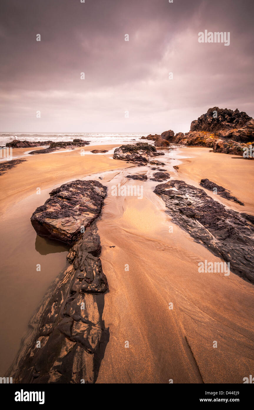 der Strand von Bude, cornwall Stockfoto