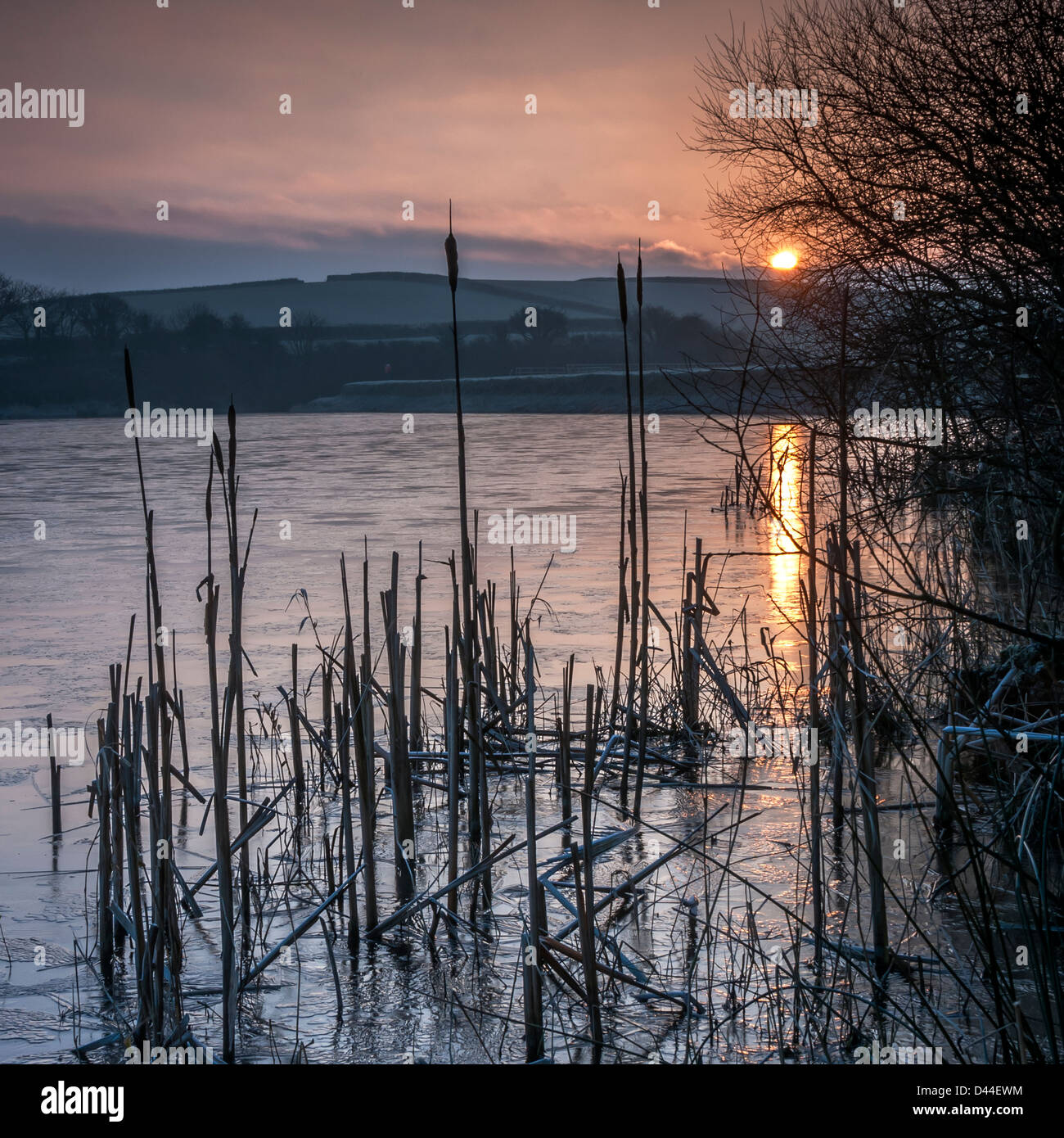 Ein kalter Morgen am Untersee Tamer, Cornwall Stockfoto