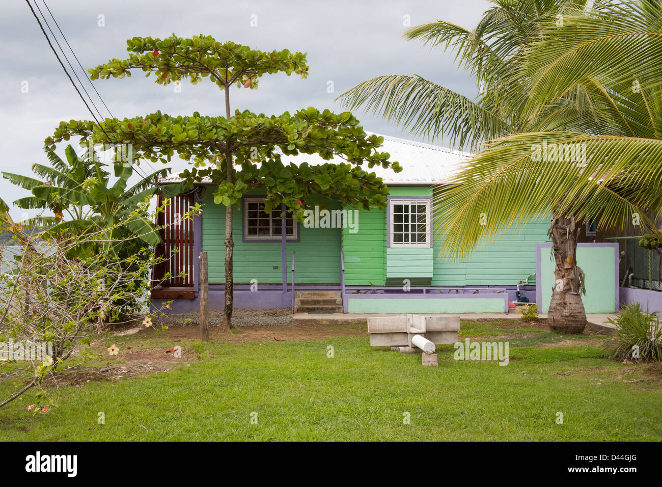 Haus in den Tropen mit Bäumen auf dem Grundstück. Stockfoto