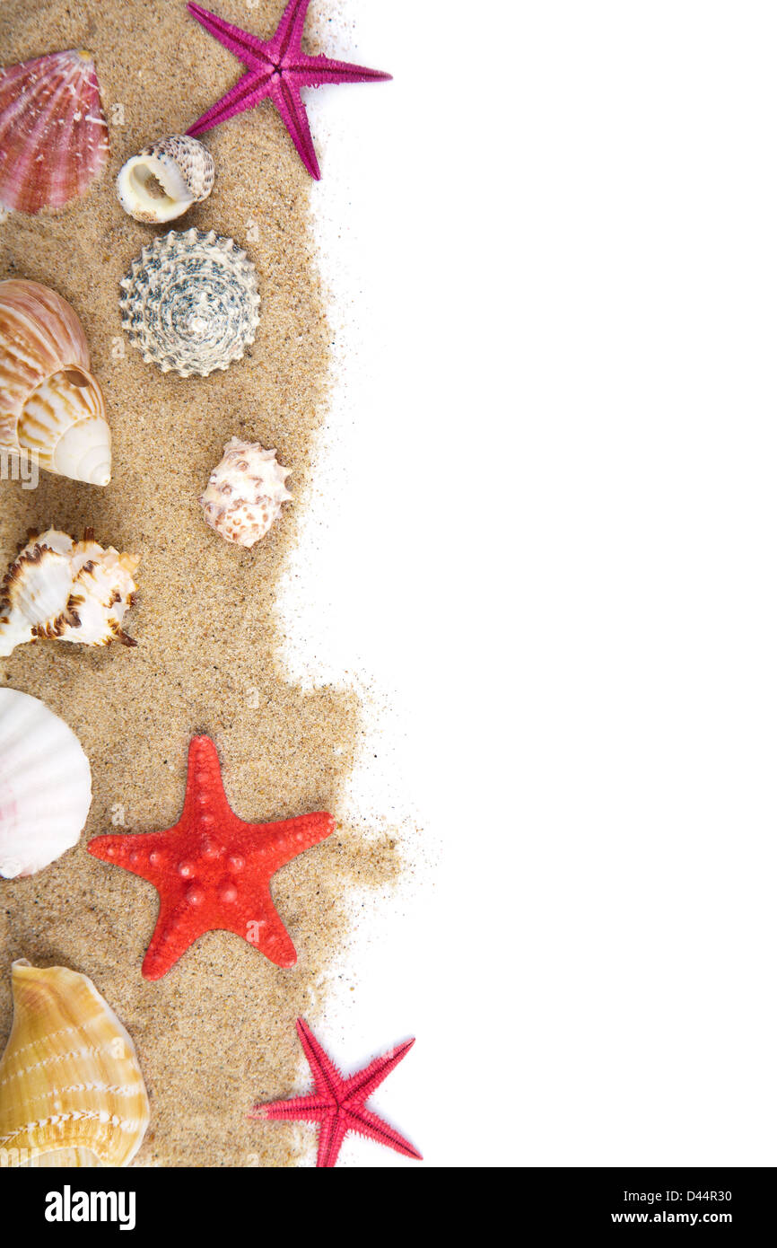 Sand und Meer Muscheln isoliert Stockfoto