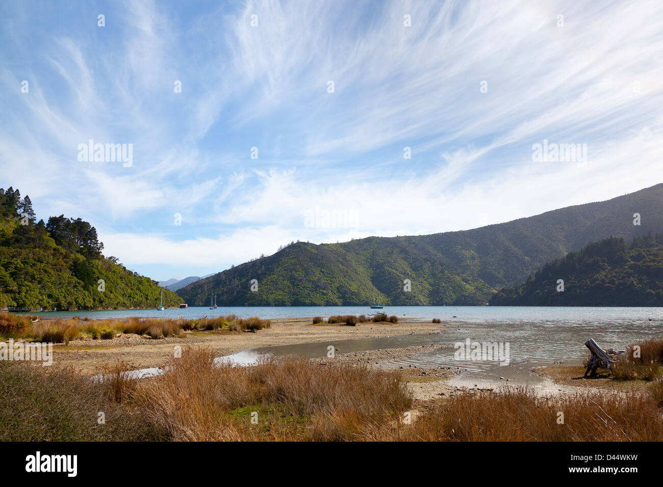 Waikara, Whatamango Bay, Neuseeland Stockfoto