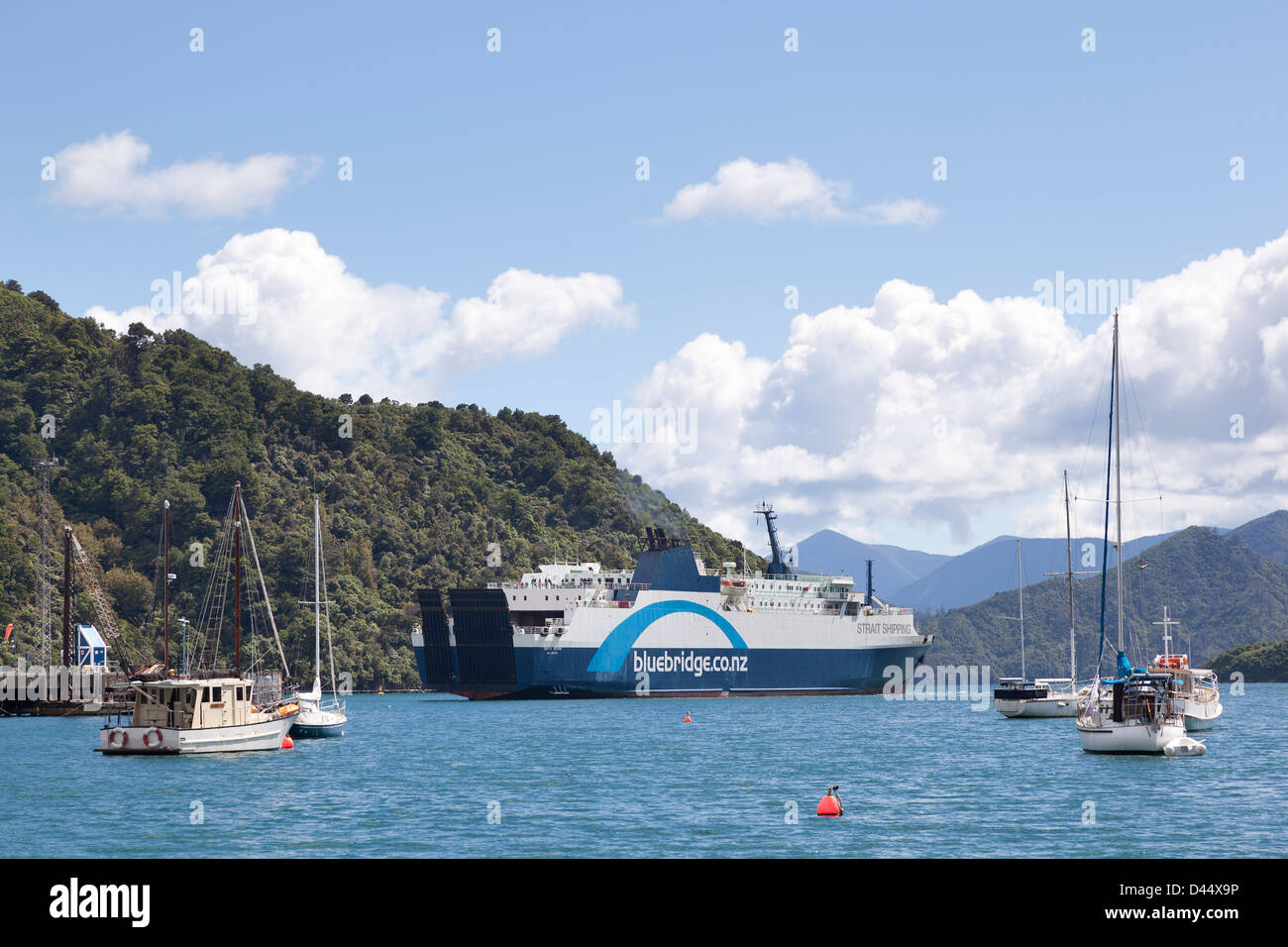 Hafen von Picton mit der Bluebridge Fähre Stockfoto