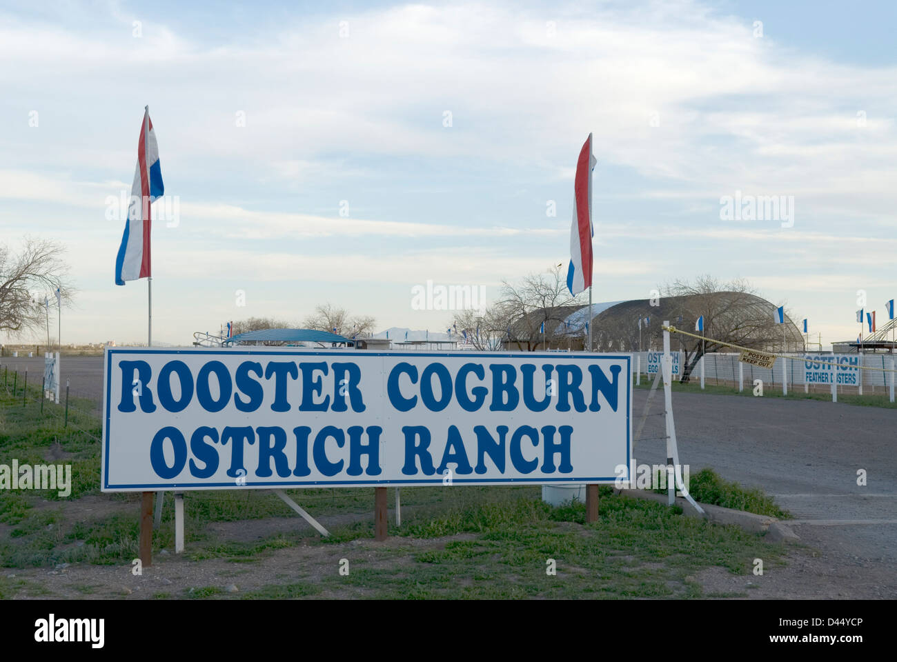 Rooster Cogburn Ostrich Ranch Zeichen Picacho Arizona USA Stockfoto