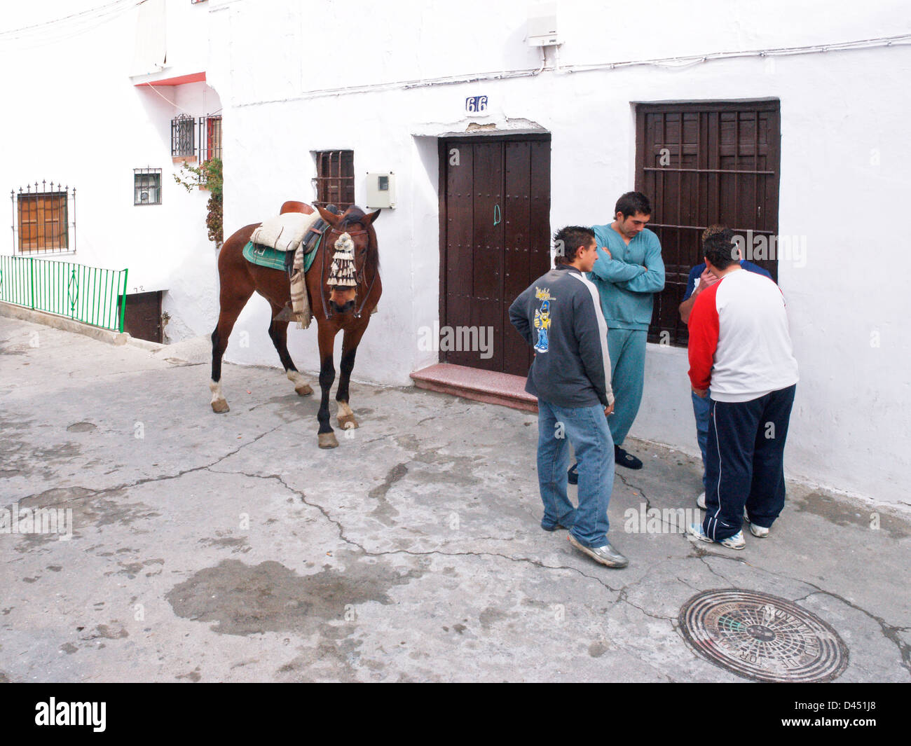 Seine ein Wochenende morgens und die jungen Männer des andalusischen Dorfes versammeln sich, um Pferde - Torrox, Malaga, Andalusien, Spanien zu diskutieren Stockfoto