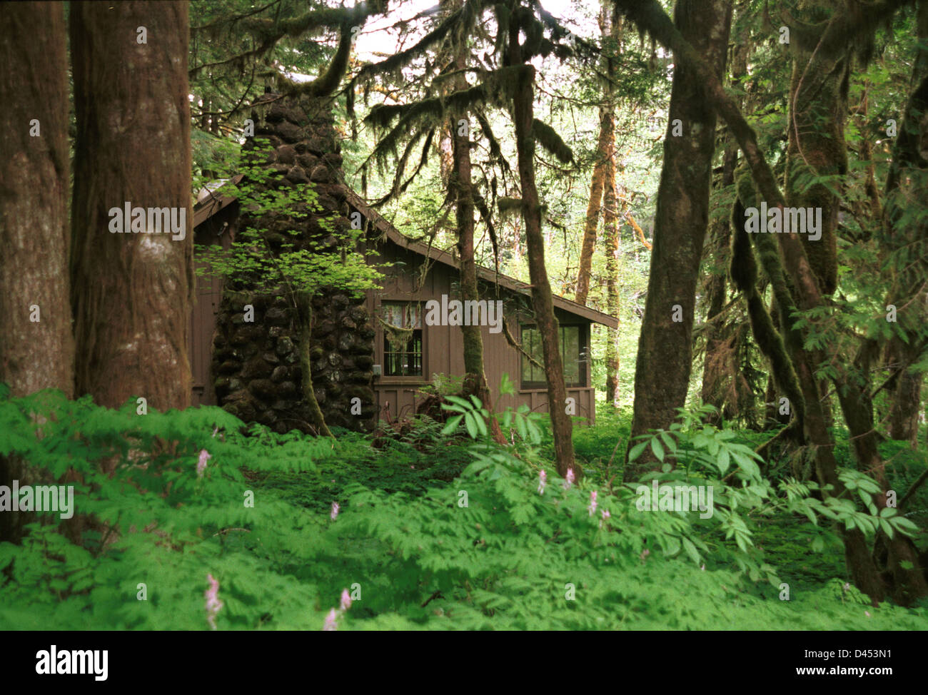 Hütte im Wald Regierung Camp Mount Hood Oregon, Haus im Wald, Hütte im Wald, Wald, Kabine, Mt. Hood, Wald, Stockfoto